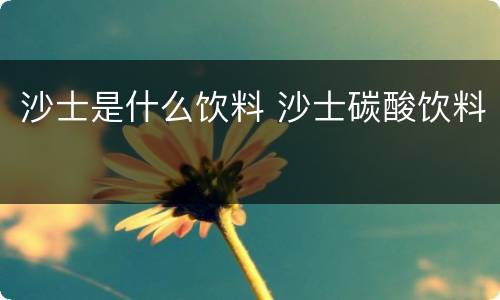 沙士是什么饮料 沙士碳酸饮料