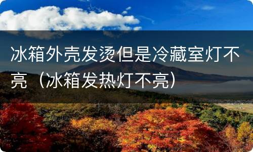 冰箱外壳发烫但是冷藏室灯不亮（冰箱发热灯不亮）