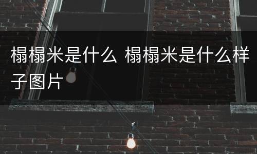 榻榻米是什么 榻榻米是什么样子图片
