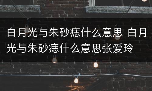 白月光与朱砂痣什么意思 白月光与朱砂痣什么意思张爱玲