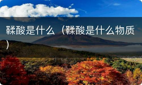 鞣酸是什么（鞣酸是什么物质）