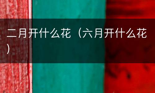 二月开什么花（六月开什么花）