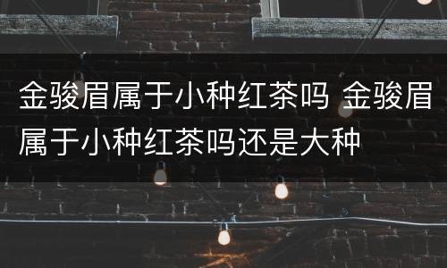 金骏眉属于小种红茶吗 金骏眉属于小种红茶吗还是大种