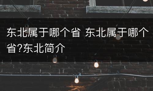 东北属于哪个省 东北属于哪个省?东北简介