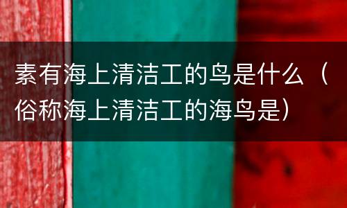 素有海上清洁工的鸟是什么（俗称海上清洁工的海鸟是）