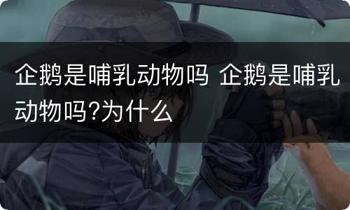 企鹅是哺乳动物吗 企鹅是哺乳动物吗?为什么
