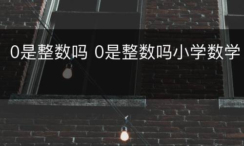 0是整数吗 0是整数吗小学数学