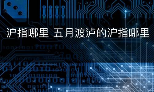 沪指哪里 五月渡泸的沪指哪里