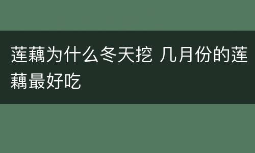 莲藕为什么冬天挖 几月份的莲藕最好吃
