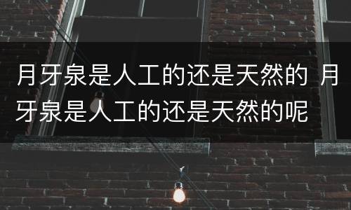 月牙泉是人工的还是天然的 月牙泉是人工的还是天然的呢