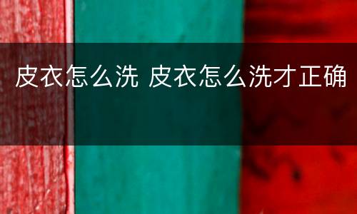 皮衣怎么洗 皮衣怎么洗才正确
