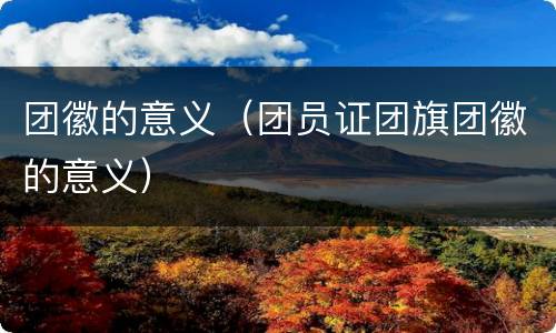 团徽的意义（团员证团旗团徽的意义）