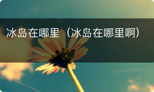 冰岛在哪里（冰岛在哪里啊）