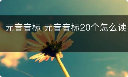 元音音标 元音音标20个怎么读
