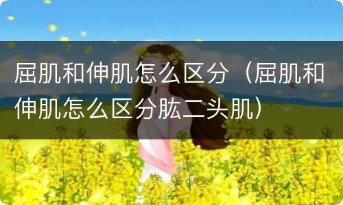 屈肌和伸肌怎么区分（屈肌和伸肌怎么区分肱二头肌）