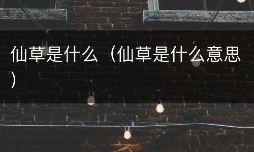 仙草是什么（仙草是什么意思）