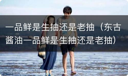 一品鲜是生抽还是老抽（东古酱油一品鲜是生抽还是老抽）
