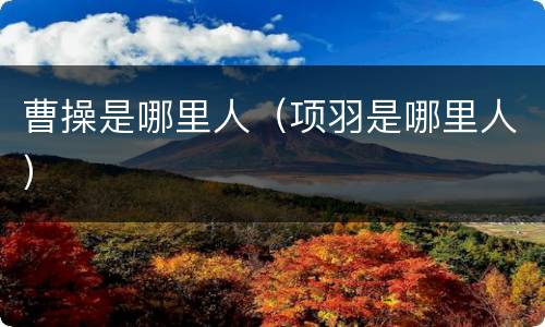 曹操是哪里人（项羽是哪里人）