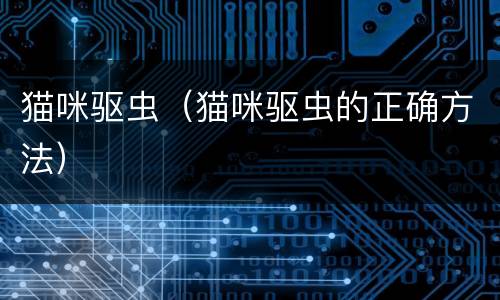 猫咪驱虫（猫咪驱虫的正确方法）