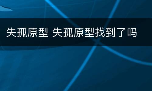 失孤原型 失孤原型找到了吗