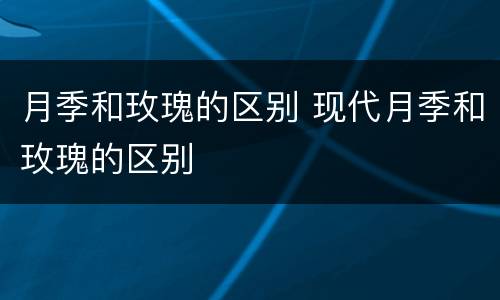 月季和玫瑰的区别 现代月季和玫瑰的区别
