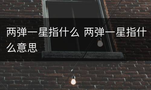 两弹一星指什么 两弹一星指什么意思