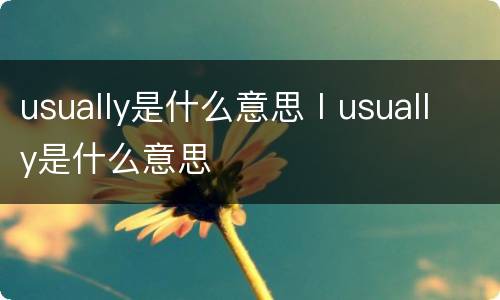 usually是什么意思 I usually是什么意思