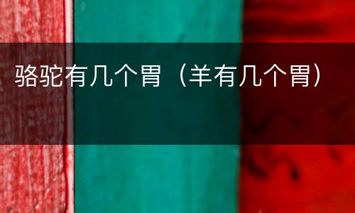 骆驼有几个胃（羊有几个胃）