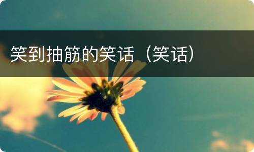 笑到抽筋的笑话（笑话）