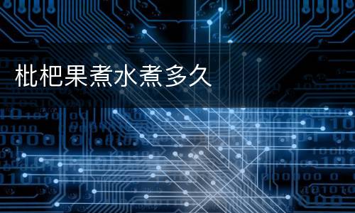 枇杷果煮水煮多久