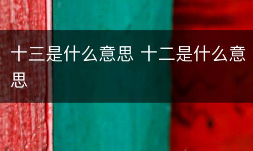 十三是什么意思 十二是什么意思