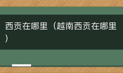 西贡在哪里（越南西贡在哪里）