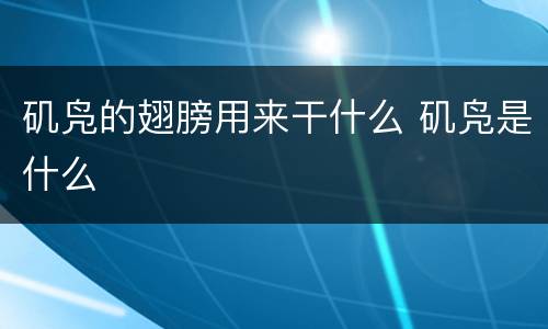 矶凫的翅膀用来干什么 矶凫是什么