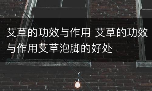 艾草的功效与作用 艾草的功效与作用艾草泡脚的好处