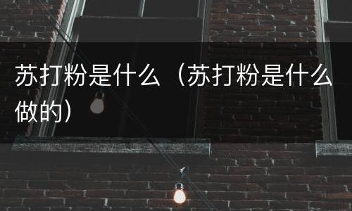 苏打粉是什么（苏打粉是什么做的）