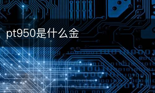 pt950是什么金