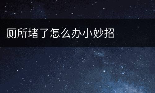 厕所堵了怎么办小妙招