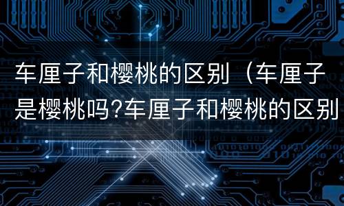车厘子和樱桃的区别（车厘子是樱桃吗?车厘子和樱桃的区别）