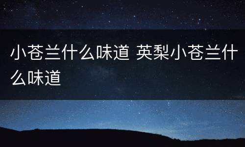 小苍兰什么味道 英梨小苍兰什么味道