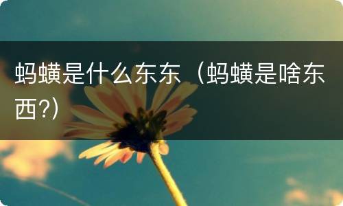 蚂蟥是什么东东（蚂蟥是啥东西?）