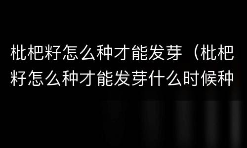 枇杷籽怎么种才能发芽（枇杷籽怎么种才能发芽什么时候种）