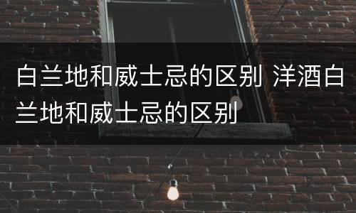 白兰地和威士忌的区别 洋酒白兰地和威士忌的区别