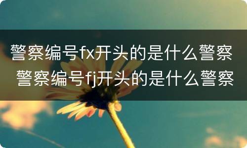 警察编号fx开头的是什么警察 警察编号fj开头的是什么警察