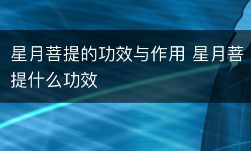 星月菩提的功效与作用 星月菩提什么功效