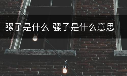 骡子是什么 骡子是什么意思