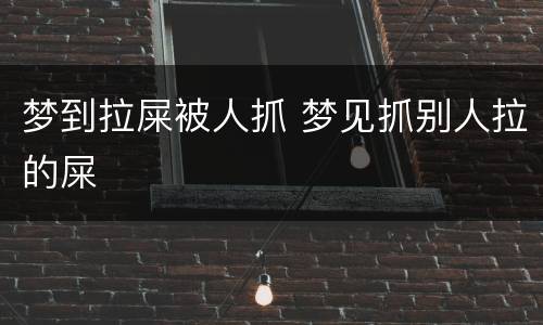 梦到拉屎被人抓 梦见抓别人拉的屎