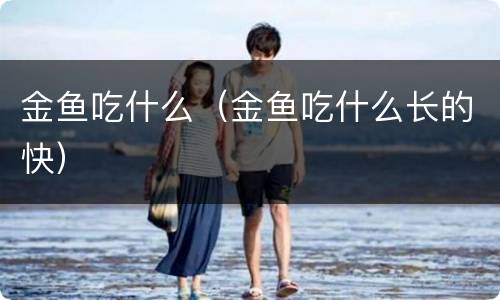 金鱼吃什么（金鱼吃什么长的快）