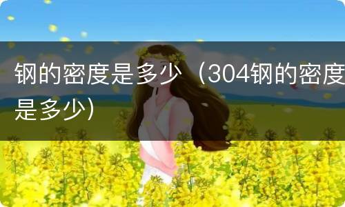 钢的密度是多少（304钢的密度是多少）