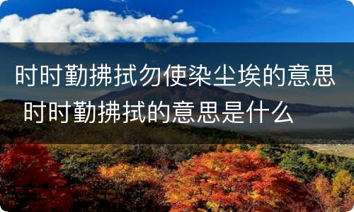 时时勤拂拭勿使染尘埃的意思 时时勤拂拭的意思是什么