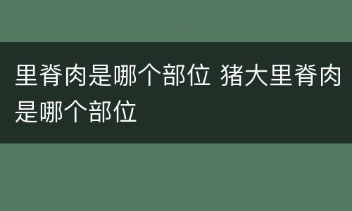 里脊肉是哪个部位 猪大里脊肉是哪个部位